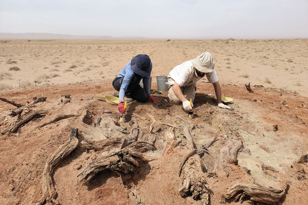 Israeli Researchers Help Uncover Secrets of Mongolia’s Mysterious Gobi Wall