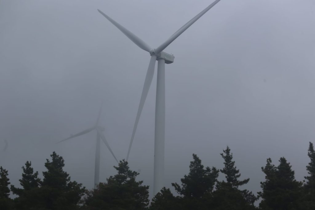 Climate Change Could Undercut Wind Energy Potential in Middle East, Scientists Warn