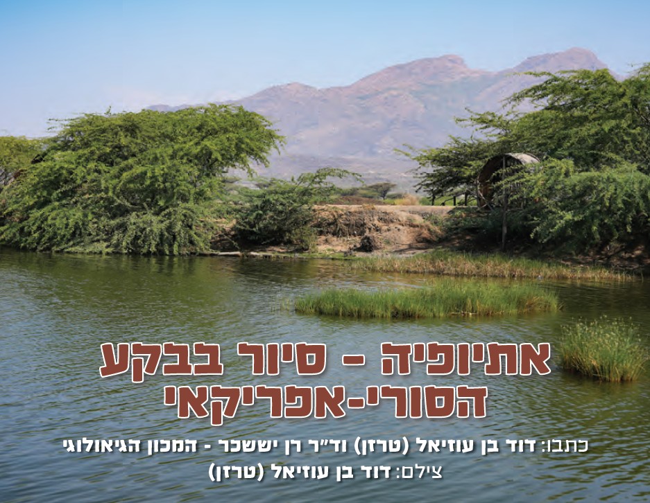 An article recently published in the Teva HaDvarim magazine describes a visit of GSI researchers Prof. Ram Weinberger and Dr. Ran Issachar in the Afar Triangle in Ethiopia.