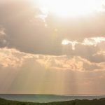 Earth’s Future in Its Past? Israeli-Led Study Shows Arctic Lost Permafrost in Warmer World