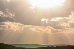 Earth’s Future in Its Past? Israeli-Led Study Shows Arctic Lost Permafrost in Warmer World