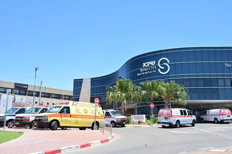 Health: Israeli Scientists Grow First Ever Functional Human Kidney in Lab