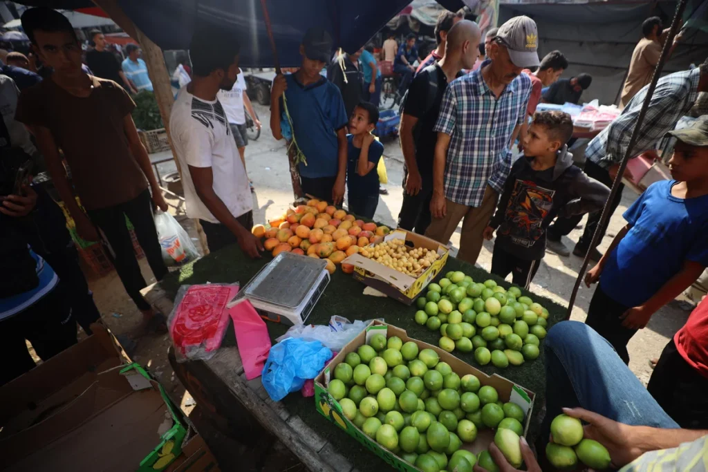 Israeli Probe Finds Gaza Hunger Reports Inflated, Deaths Misattributed