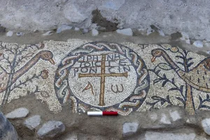 Featured 561 300x200