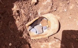 Featured 789 300x186