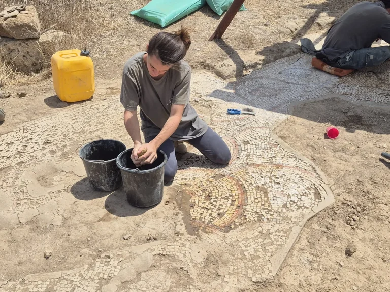 Featured 791 768x576