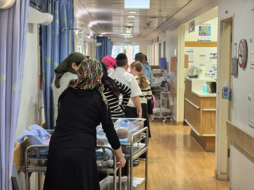 1,500 Families a Year: Knesset Seeks Uniform Burial Rules for Stillborn Children