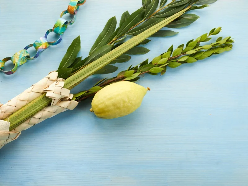 To protect Israeli agriculture, the Ministry of Agriculture clarifies: It is forbidden to bring sets of the four species, into Israel, from foreign countries