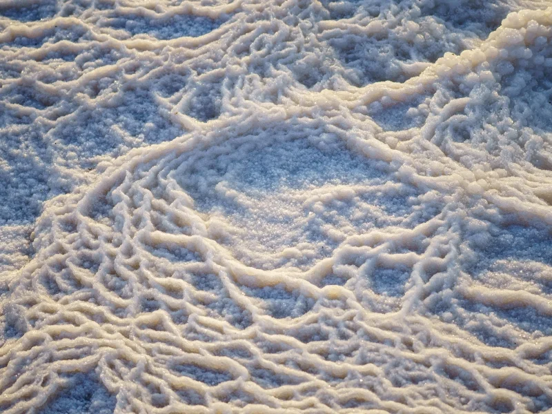 Minister of Environmental Protection in an Urgent Appeal to the Minister of Finance Regarding the Renewal of the Dead Sea Concession