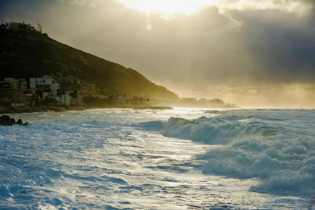 ‘Green Treasure’: Seaweed Could Fuel Next Wave of Sustainable Innovations, Scientists Say