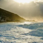 ‘Green Treasure’: Seaweed Could Fuel Next Wave of Sustainable Innovations, Scientists Say