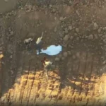 Featured 647 11 150x150