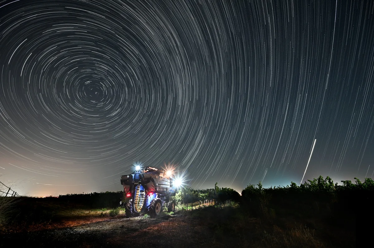 Космические дуэты: Самые массивные звезды в ранней Вселенной образовались парами, показывает исследование