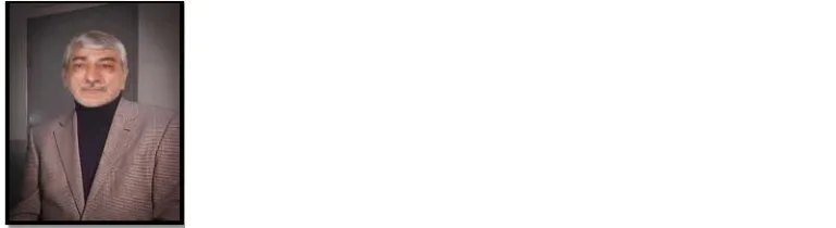 Image 1 1003 2 768x210