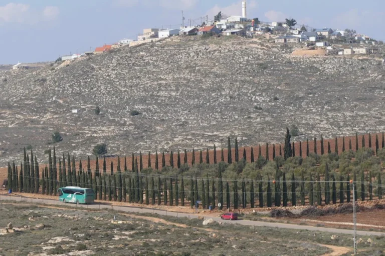 Featured 488 768x512