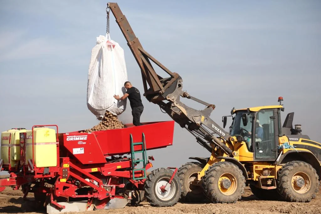 Бизнес: ОЭСР хвалит сельское хозяйство Израиля за рост во время военных действий
