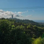 15,000 Taong Gulang na Buto ng Ibon Nagpahayag ng Pangingisda ng Natufian sa mga Yungib ng Carmel sa Israel