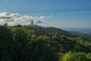 15,000 Taong Gulang na Buto ng Ibon Nagpahayag ng Pangingisda ng Natufian sa mga Yungib ng Carmel sa Israel