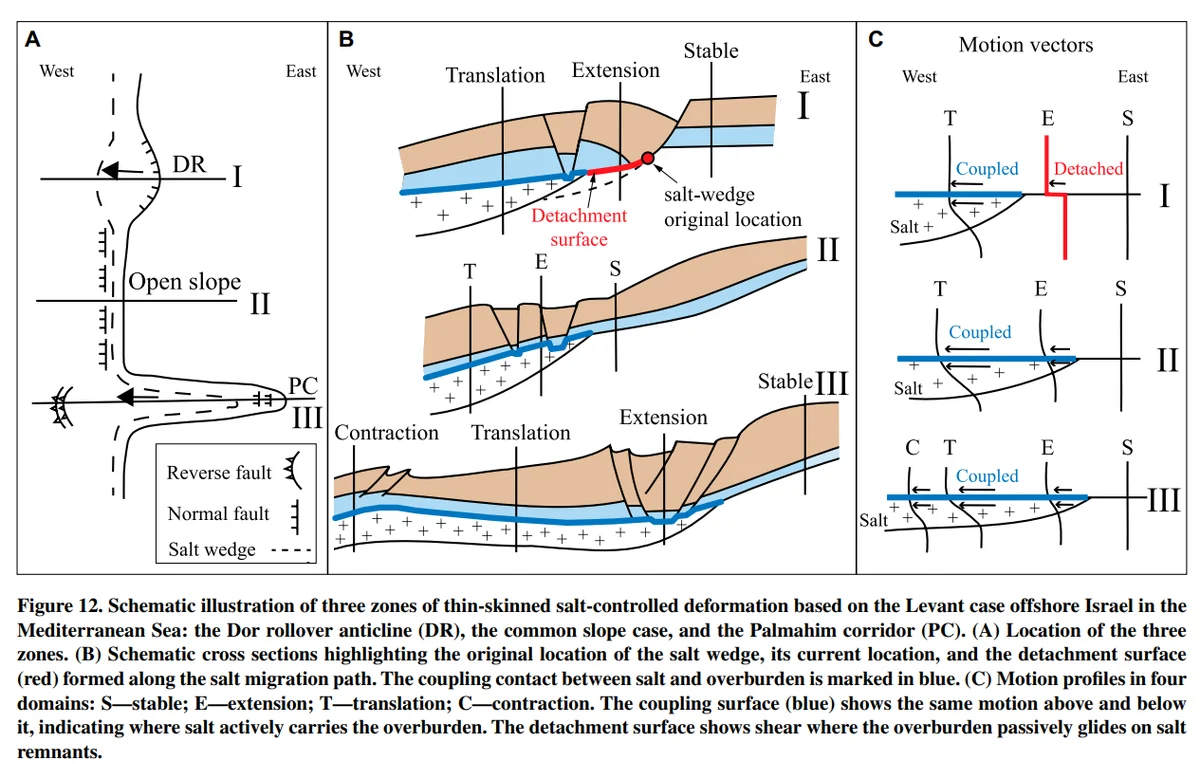 New research by doctoral student May Laor with Prof. Zohar Gvirtzman sheds new light on the Dor and Palmahim “disturbances”