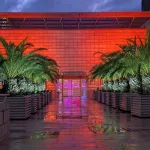 ministry-of-foreign-affairs-lit-in-orange-on-the-occasion-of-the-international-day-for-the-elimination-of-violence-against-women-2 | Israel.fm |