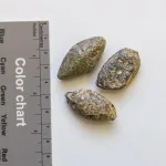 Premières preuves matérielles de la bataille de Juda Maccabée découvertes près de Jérusalem