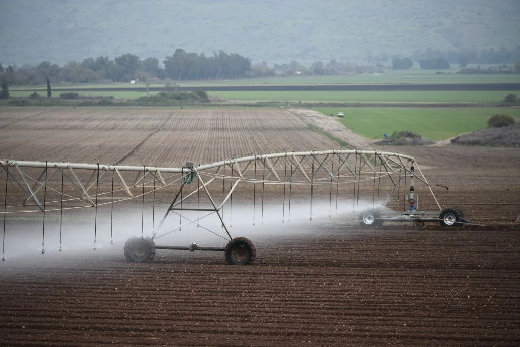 Machine Learning Offers New Way to Predict Plant Water Use, Israeli Study Finds