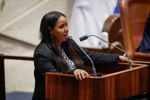 Approved in final readings: Series of amendments expanding assistance to orphans and widows of fallen IDF soldiers and victims of hostile acts