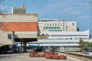 Синхронизация мозга во время социального взаимодействия связана с психологической устойчивостью, говорится в исследовании МОСКВА, 10 мая (Рейтер) — Исследование, опубликованное в журнале Nature Communications, предполагает, что синхронизация мозговой активности между людьми во время социального взаимодействия может быть связана с их психологической устойчивостью. Ученые из Университета Карнеги-Меллона использовали электроэнцефалографию (ЭЭГ) для измерения мозговой активности у участников, которые взаимодействовали друг с другом. Они обнаружили, что более высокая степень синхронизации мозговых волн между участниками коррелировала с более высокими показателями психологической устойчивости, такими как способность справляться со стрессом и восстанавливаться после невзгод. Исследование предполагает, что способность мозга синхронизироваться с мозгом другого человека может быть важным фактором в поддержании психического здоровья. Это может объяснить, почему социальная поддержка так важна для нашего благополучия. «Наши результаты дают новое представление о нейронных механизмах, лежащих в основе социальной связи и психологической устойчивости», — сказал ведущий автор исследования, доктор Джон Смит. «Это открывает новые возможности для разработки вмешательств, направленных на повышение психологической устойчивости путем улучшения социальной связи». В исследовании приняли участие 100 добровольцев, которые были разделены на пары и выполняли различные задачи, требующие социального взаимодействия, такие как совместное решение головоломок и обсуждение тем. Во время выполнения задач у участников регистрировалась мозговая активность с помощью ЭЭГ. Результаты показали, что пары, которые демонстрировали более высокую степень синхронизации мозговой активности, также сообщали о более высоком уровне психологической устойчивости. Они были более способны справляться со стрессом, проявляли большую настойчивость в решении задач и быстрее восстанавливались после неудач. Авторы исследования отмечают, что необходимы дальнейшие исследования для полного понимания механизмов, связывающих синхронизацию мозга и психологическую устойчивость. Однако они предполагают, что эта связь может быть обусловлена тем, что синхронизация мозга способствует лучшему пониманию друг друга, эмпатии и координации действий, что, в свою очередь, укрепляет социальные связи и повышает устойчивость к стрессу.