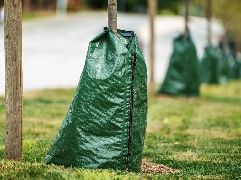 המשרד להגנת הסביבה משקיע כ-16.7 מיליון שקלים בקידום פתרונות אקלים ברשויות המקומיות