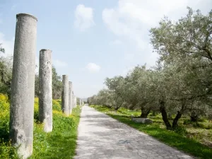 Taariikhi: Wasiirka Dalxiiska oo horumarinaya qorshaha Yahuudiya iyo Samaariya