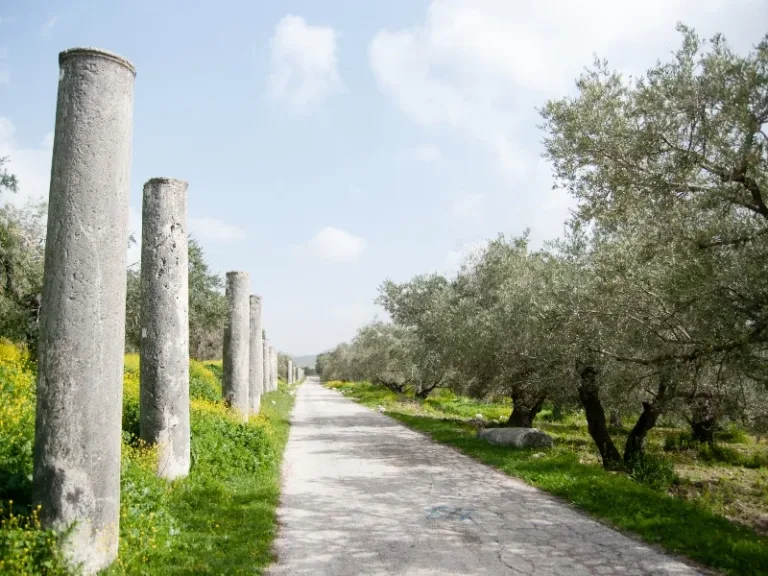 היסטורי: שר התיירות חיים כץ מקדם תכנית אב לפיתוח התיירות ביהודה ושומרון