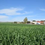 הזמנה לוובינר בנושא הרחבות ביישובים חקלאיים וקהילתיים