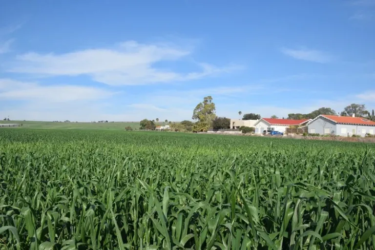 Politique: Webinaire : Expansion agricole/communautaire