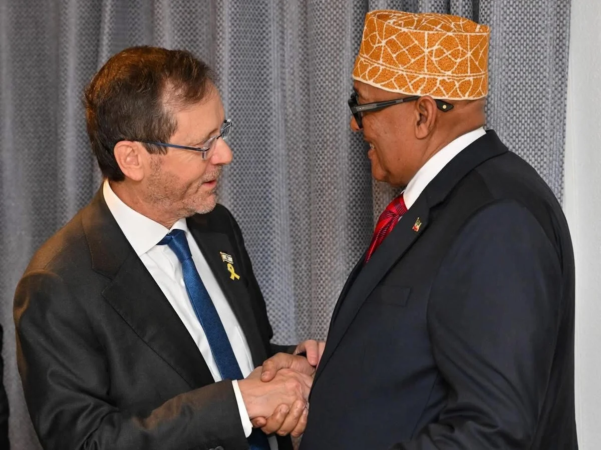 Herzog meets Somaliland President in Davos