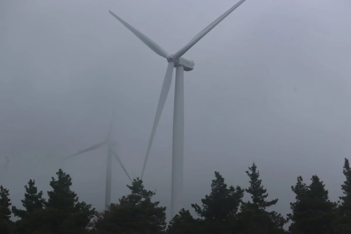 إسرائيل تمنح 4.2 مليون دولار لشركات طاقة ناشئة رائدة