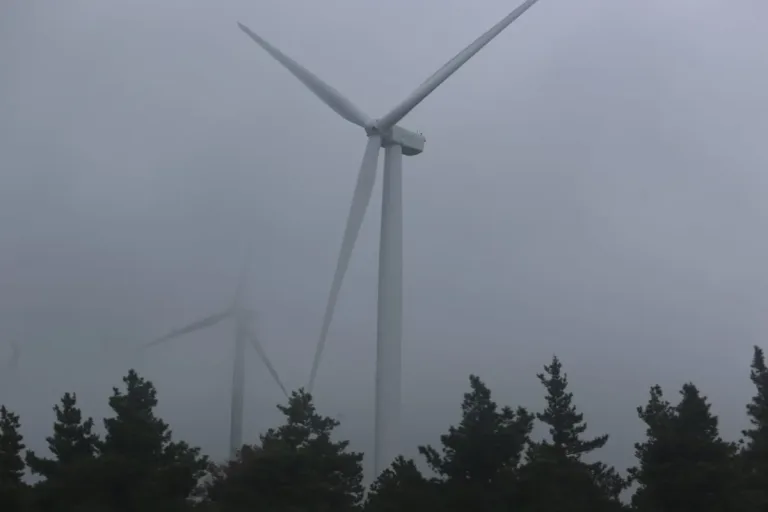 Israel Awards $4.2M in Grants to Pioneering Energy Startups