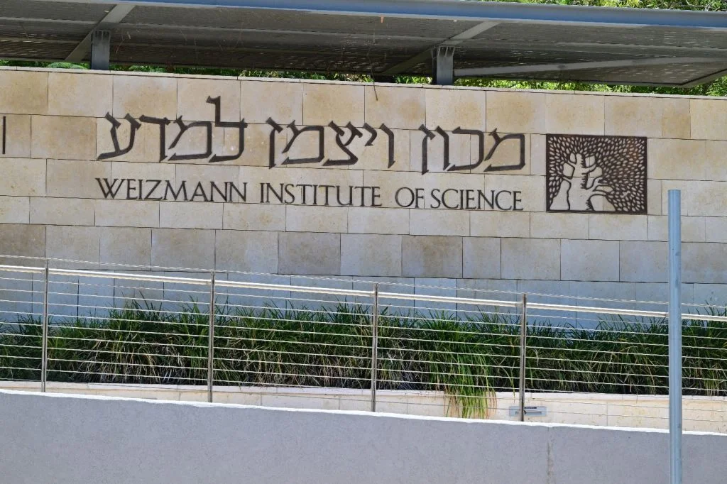 علماء يحددون خلايا تجدد الأنسجة، مما يبعث الأمل لضحايا السرطان والحروق