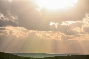 Gudbinta Cadceedda La-Arki Karo: Daamurka oo Kastaaba Noqon Karo Il Dhalisa Koronto