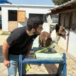 Corgiga Degganaa Ee Caawiyay Qof Dagaal Soo Galay Inuu Bogsado