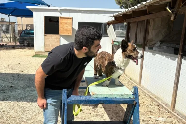 Bulshada Israa’iil: Corgiga Degganaa Ee Caawiyay Qof Dagaal Soo Galay Inuu Bogsado