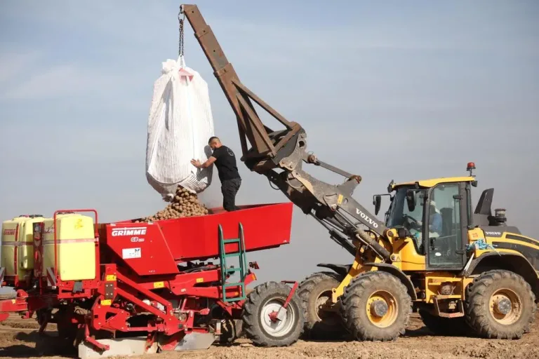 الصحة: نصف الخضروات الفلسطينية المستوردة إلى إسرائيل تقريباً تحتوي على مبيدات خطرة
