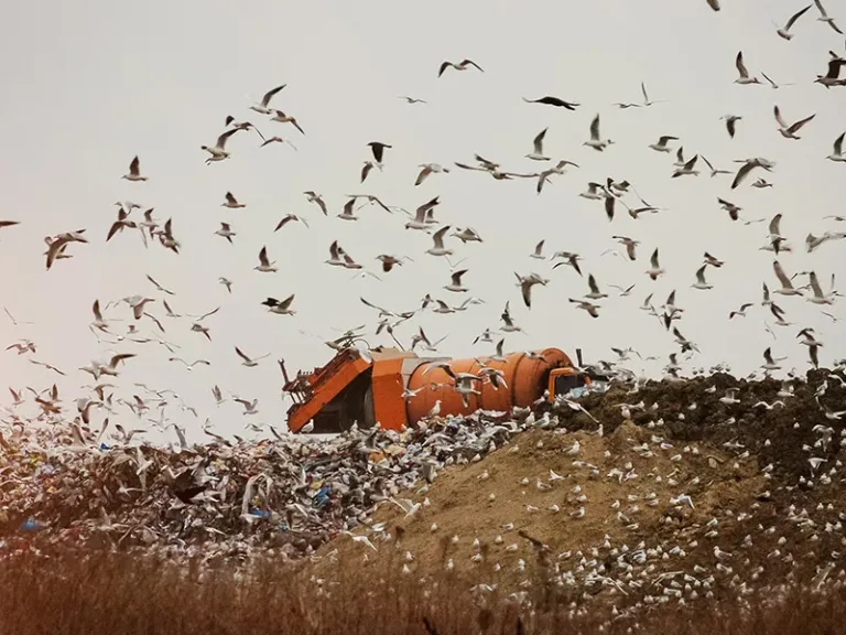 المجتمع الإسرائيلي: مناقصة تحويل النفايات إلى طاقة: فوز تحالف “شابير-بلوجون-ديكل