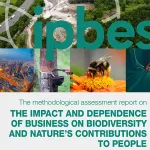 IPBES publie la première évaluation mondiale sur les entreprises et la biodiversité