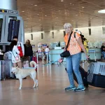 إسرائيل تتجه للحجاج المسيحيين وروابط الشتات والذكاء الاصطناعي لإعادة إحياء السياحة بعد الحرب