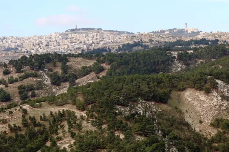 السياسة: الكنيست الإسرائيلي يقر إصلاحات للأراضي والتخطيط في يهودا والسامرة