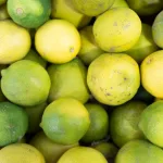 ‘Musiibo Qaran’ Laga Badbaaday Geed Liin Ah Oo Cudurka Qabay Oo Laga Qabtay Garoonka Diyaaradaha