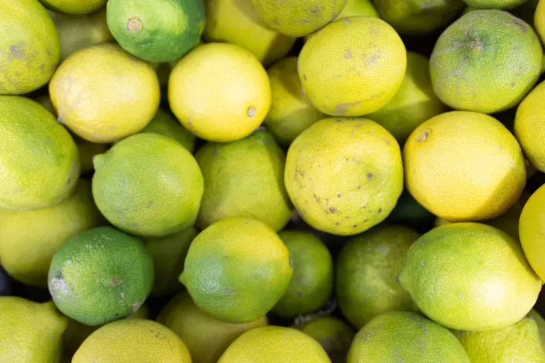 الأمن: كارثة وطنية” تم تجنبها بعد ضبط شتلة ليمون مصابة في المطار