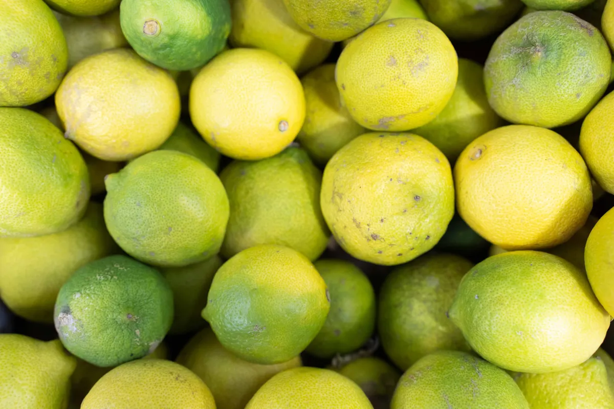 ‘National Disaster’ Averted as Infected Lemon Tree Sapling Seized at Airport