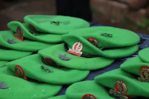 The story of the new Nahal unit insignia – distributed today for the first time