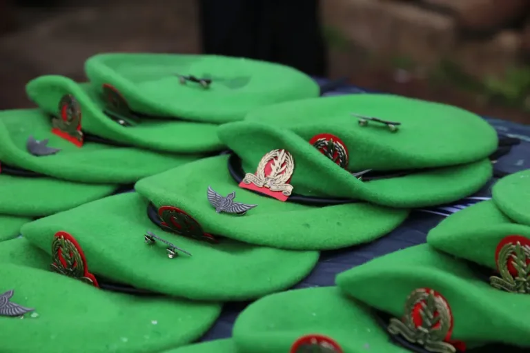 The story of the new Nahal unit insignia - distributed today for the first time